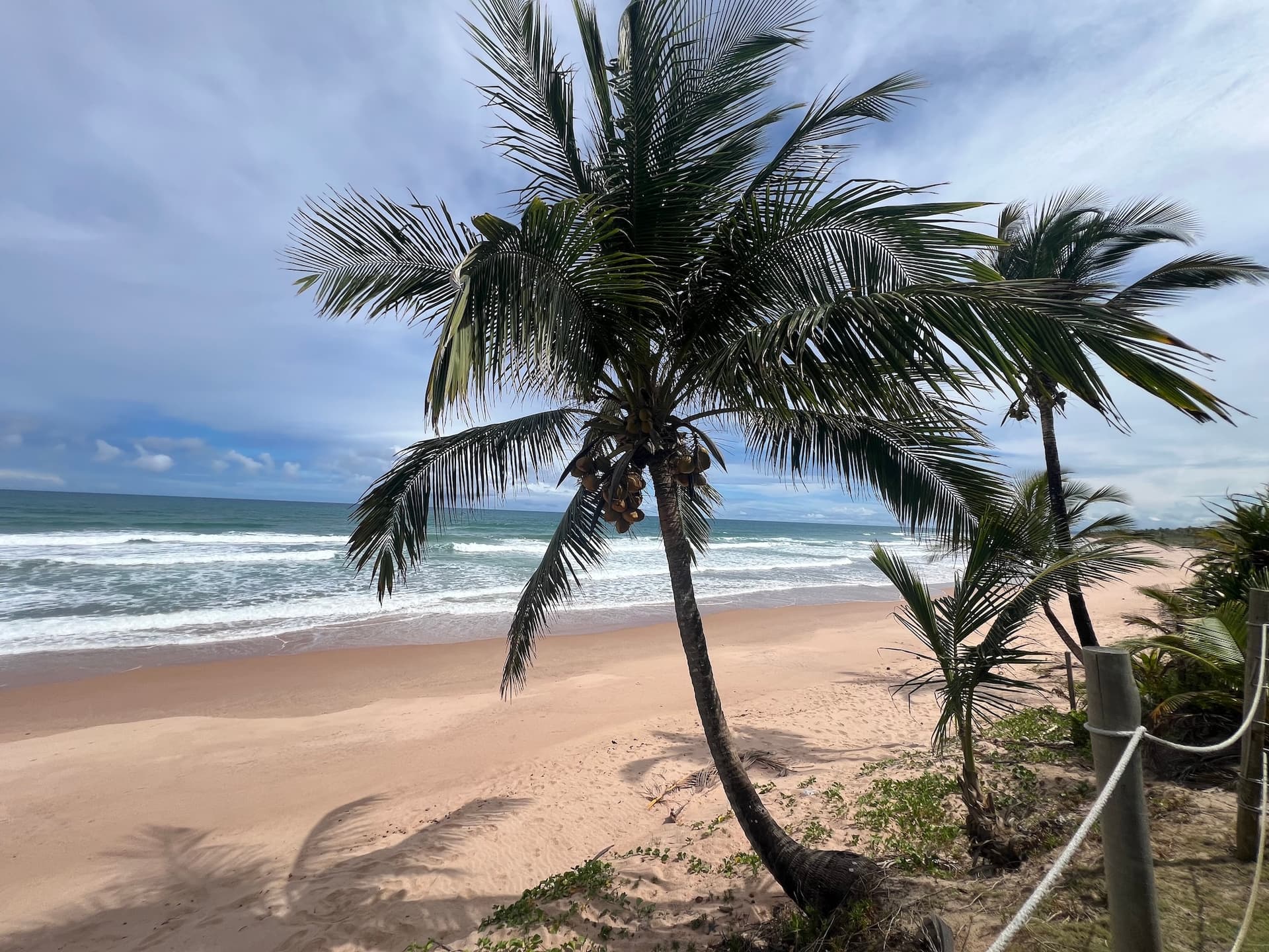 Sample photo with None filter applied